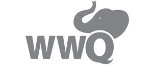 Бензиновая мотопомпа WWQ WP101 - изображение 5